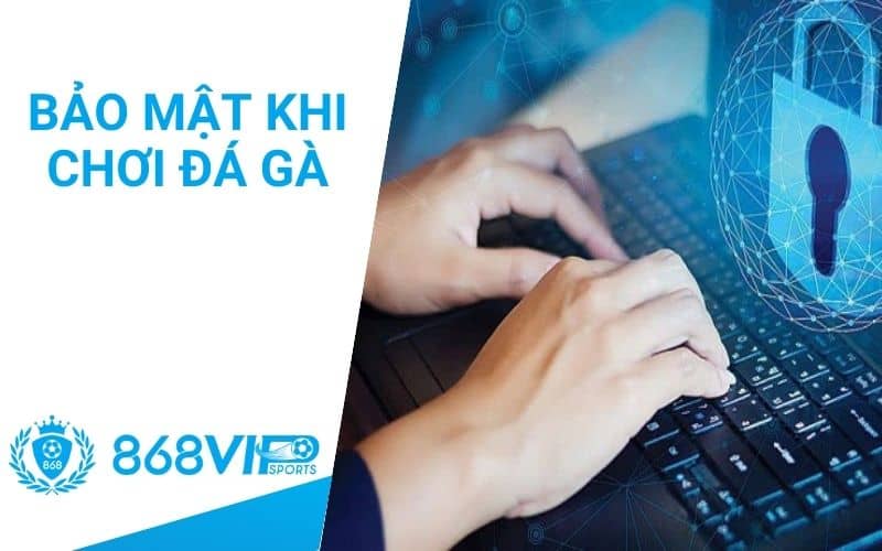 Bảo mật thông tin cá nhân khi chơi đá gà tại 868VIP Bảo mật thông tin cá nhân khi chơi đá gà tại 868VIP