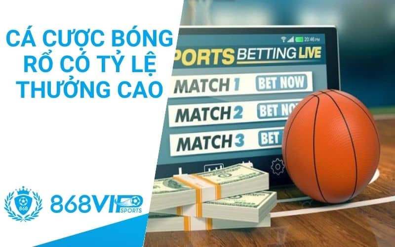 Cá cược bóng rổ đem đến tỷ lệ thưởng cao Cá cược bóng rổ đem đến tỷ lệ thưởng cao