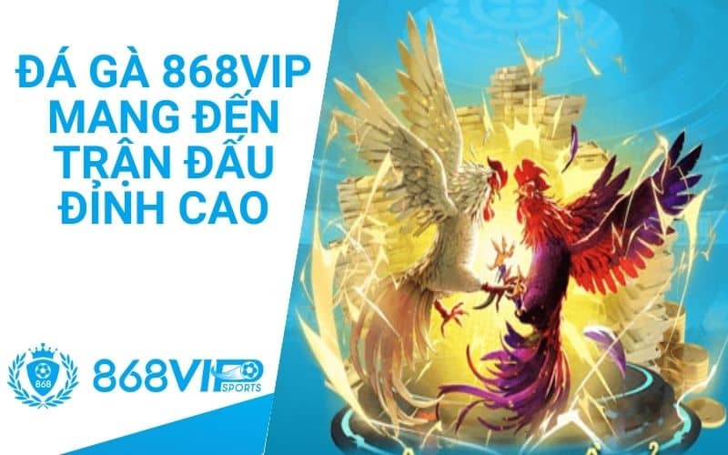 Đá gà tại 868VIP cung cấp nhiều trận đấu đỉnh cao Đá gà tại 868VIP cung cấp nhiều trận đấu đỉnh cao