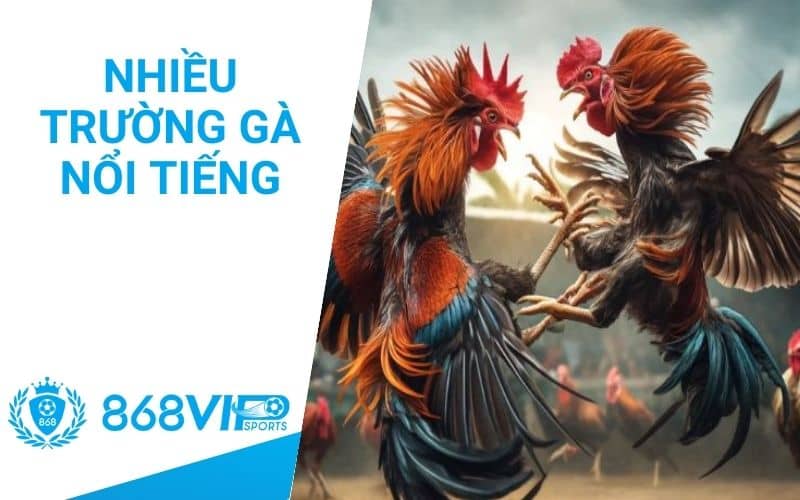 Mang tới nhiều sảnh đá gà nổi tiếng ở nhiều quốc gia Mang tới nhiều sảnh đá gà nổi tiếng ở nhiều quốc gia