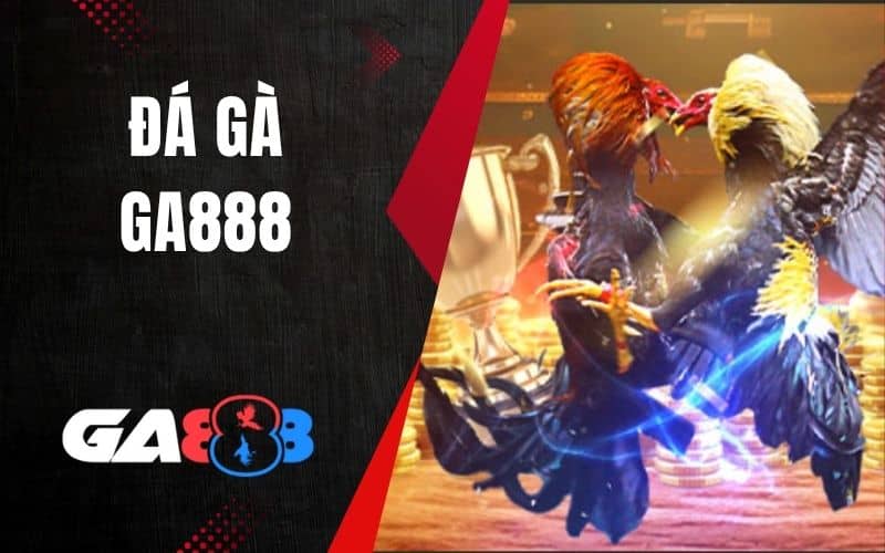 Đá gà GA888 cho phép người chơi theo dõi và đặt cược Đá gà GA888 cho phép người chơi theo dõi và đặt cược