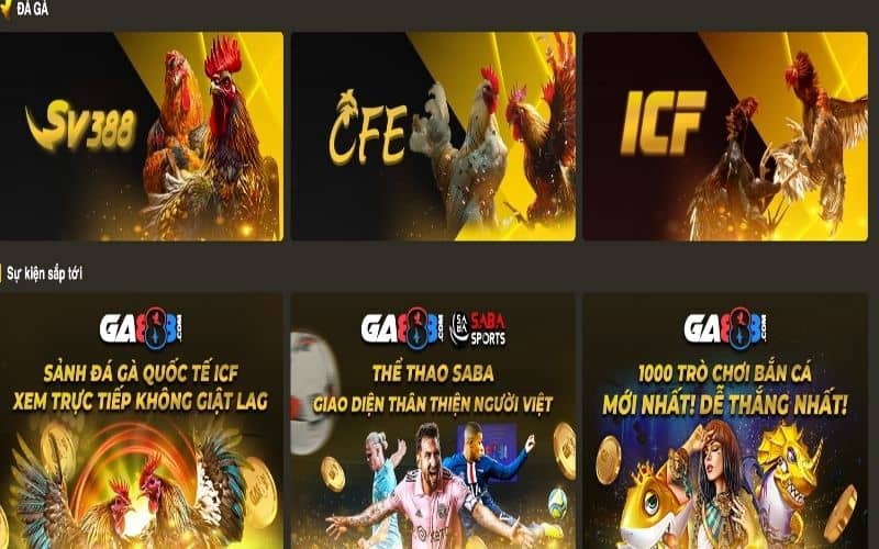 Mang tới nhiều sảnh đá gà nổi tiếng ở nhiều quốc gia Mang tới nhiều sảnh đá gà nổi tiếng ở nhiều quốc gia