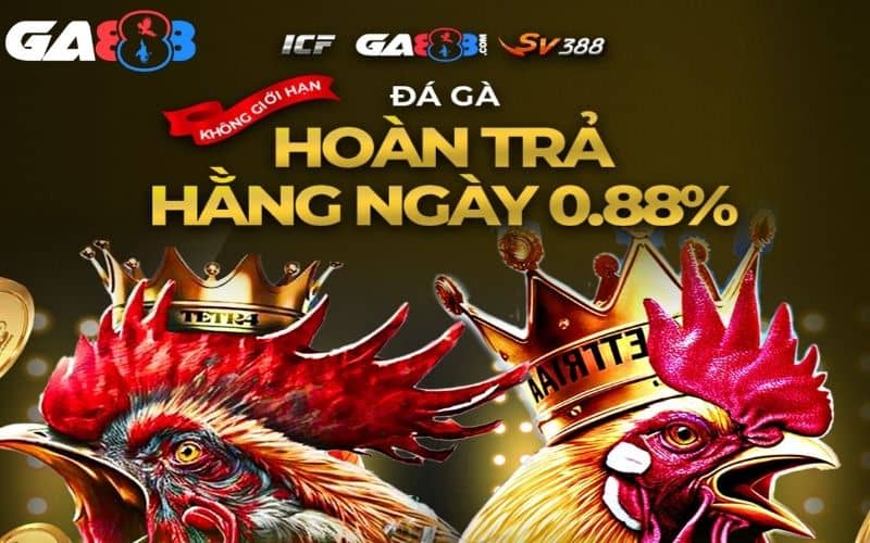 Người hội viên cũ sẽ nhận được ưu đãi hấp dẫn lên đến 28% Người hội viên cũ sẽ nhận được ưu đãi hấp dẫn lên đến 28%